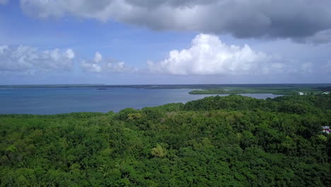Aerial-view-over-green-tree-tops-of-a-bay