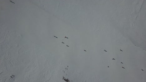 Vista-Aérea-De-Los-Esquiadores-Que-Descienden-Una-Pista-De-Esquí