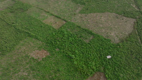 Aerial-top-down-footage-of-burn-patches-in-the-forest-and-jungle-in-the-rural-areas-of-Sierra-Leone