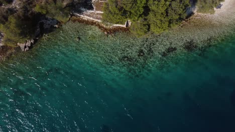 Overhead-shot-of-a-wild-shore-of-Brac,-Croatia-where-the-turquoise-water-meets-the-shore
