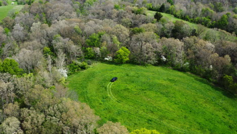 Aerial-View-Of-A-Car-On-Green-Meadows-Surrounded-By-Tree-Forest