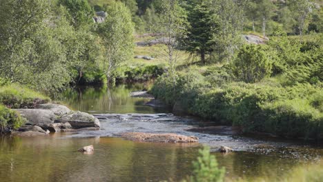 Un-Río-Poco-Profundo-En-El-Paisaje-Nórdico
