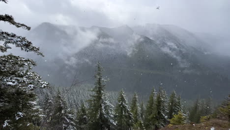 Schnee-Fällt-Auf-Berge-Und-Wald-Während-Der-Wanderung-Zum-Mt-Sturmkönig-In-Washington,-Usa---Breit