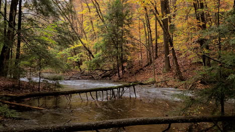 Märchenhafte-Herbstlandschaft-Im-Wald,-Blätter-Fallen-Von-Den-Bäumen-Am-Rauschenden-Fluss