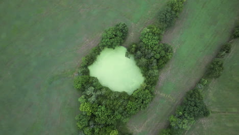 Aerial-rise-directly-above-small-pond-covered-in-algae-surrounded-by-trees