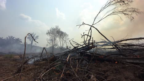 A-wildfire-rages-through-the-Amazon-rainforest-leaving-smoldering-brush-in-the-devastation