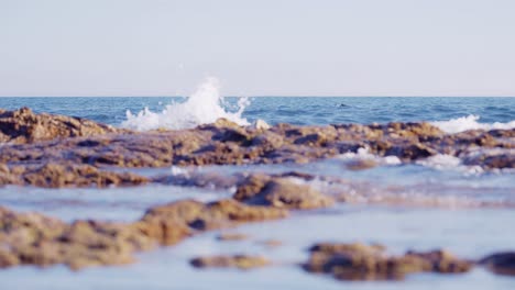 Slow-motion-coastline-with-swimmer-on-the-background