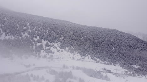 Einfrierende-Verschneite,-Neblige-Szene-Mit-Schneebedeckten-Bäumen-Und-Einem-Grauen,-Kalten-Gefühl
