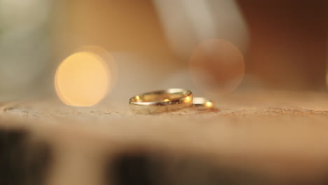 Wedding-Rings,-Wood,-Wedding-day
