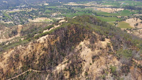 Aerial-View-Of-Oat-Hill-Mine-Trail-Trailhead-With-Burned-Trees-On-A-Sunny-Day-In-Pope-Valley,-California,-USA