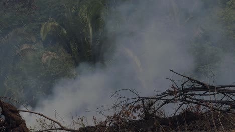 Soldadura-De-Incendios-Forestales-En-La-Selva-Amazónica-Causados-Por-La-Sequía,-La-Deforestación-Y-El-Calentamiento-Global