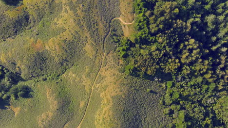 Aerial-View-Of-Trails-At-The-Nip-Parking-On-Mt-Tamalpais-In-Bolinas,-California,-USA