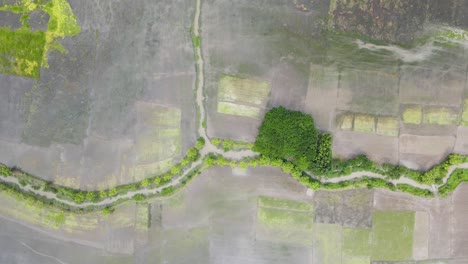 Vista-Aérea-De-Arriba-Hacia-Abajo-Del-Campo-Agrícola-Inundado-En-Bangladesh