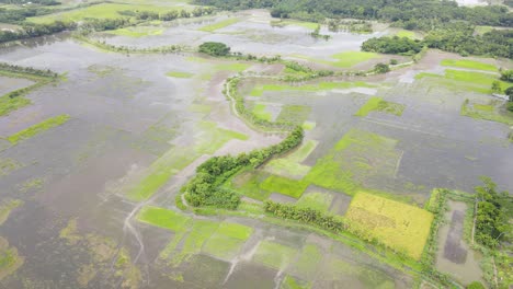 überschwemmtes-Landwirtschaftliches-Feld