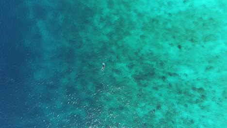 Hombre-Buceando-Alto-Drone-Ver-Agua-Azul-Clara-Con-Arrecife-De-Coral
