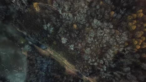 Wide-shot-aerial-drone-footage-tracking-birds-from-above-flying-on-flooded-agricultural-fields-water-reflecting-clouds-in-the-autumn-leaves-Fall-cold-weather