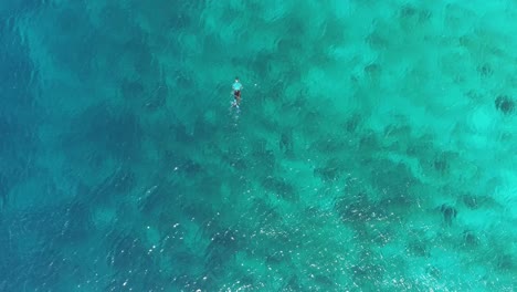 man-snorkeling-alone-clear-coral-waters-birdseye-view-with-drone