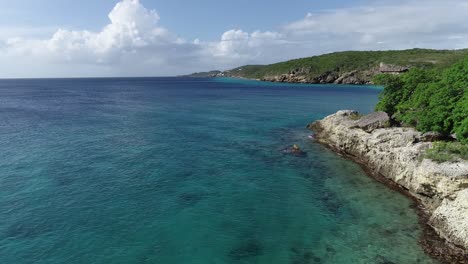 Drohne-Fliegt-über-Küstenlinie-Mit-Kakteen-Und-Pflanzen-Mit-Klarem-Ozeanwasser-Karibik
