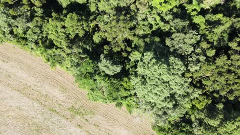 Landwirtschaft-Rückt-über-Einheimische-Wälder-Vor,-Südbrasilien