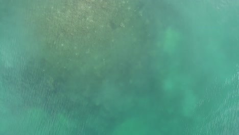 drone-flying-above-shallow-water
