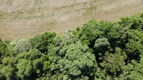 Agricultural-soil-around-native-forest-in-southern-Brazil
