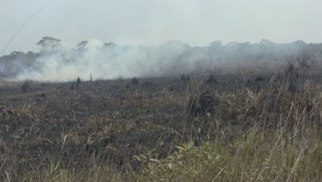 El-Humo-De-Los-Incendios-Forestales-En-La-Selva-Amazónica-Llena-El-Cielo