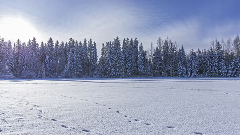 Timelapse:-Lago-Congelado-Con-Bosque-Cubierto-De-Nieve