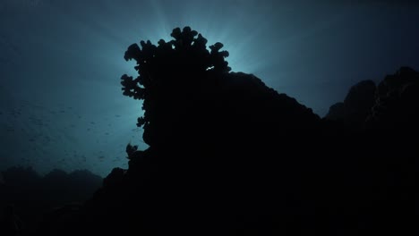 Silueta-De-Arrecife-De-Coral-Con-Rayos-De-Sol-Afilados-Que-Brillan-A-Través-De-La-Superficie-Del-Agua