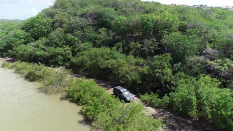 car-driving-offroad-near-creeck-river-surrounded-by-trees-and-cacti