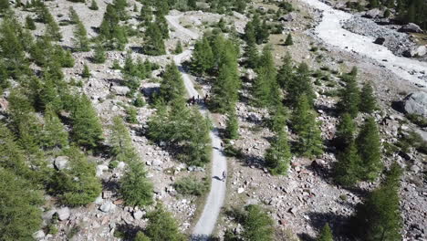 Fir-forest-and-gravel-path-in-the-Swiss-alps,-drone-aerial-view,-walkers-and-bikers-in-the-nature