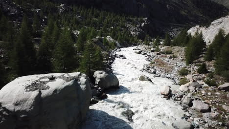 Muddy-river-with-a-lot-of-current-in-a-Swiss-alps-valley-with-fir-forest,-rocks-on-the-river-path