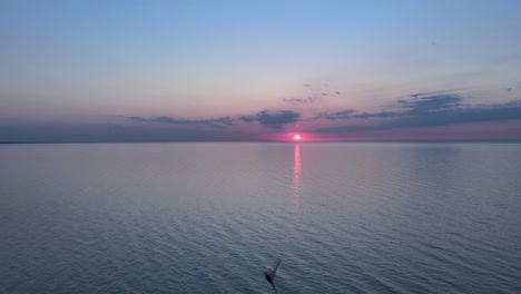 Schwalben-Fliegen-Bei-Sonnenuntergang-4k-über-Das-Meer