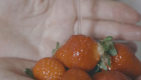 Some-strawberries-are-held-and-washed-under-water-carefully-in-slow-motion