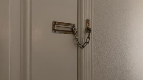 Tan-Male-Hand-Locking-Brass-Security-Door-Chain-Guard
