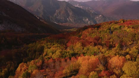 Aerial-view-of-a-forest-in-autumn-colors-over-a-mountain