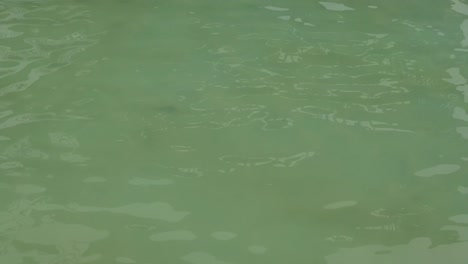 Wellenbeckenwasser-Mit-Blauer-Bodenmatte-Und-Reflexion-Von-Streifen