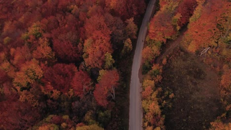 Drohne-Fliegt-Im-Herbst-über-Eine-Straße-Und-Einen-Wald