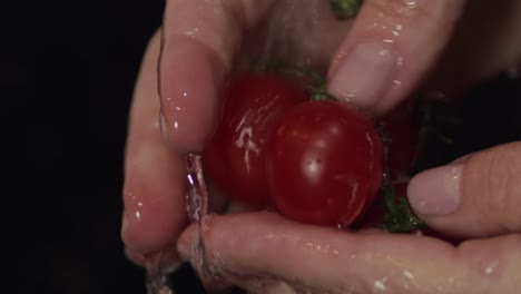 Washing-red-cherry-tomatoes-in-hands,-closeup-on-isolated-black-background