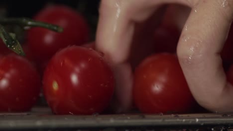 Fresh-organic-tomatoes-in-close-up,-woman's-hand-picking-up-washed-tomato