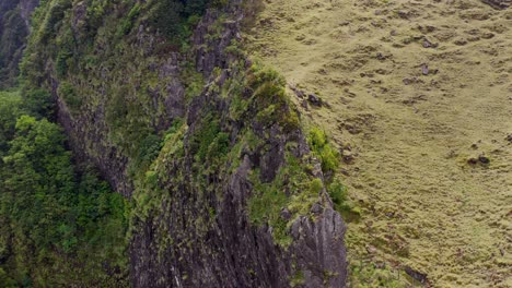 Luftaufnahme-Des-Waldes-Fanal-In-Madeira