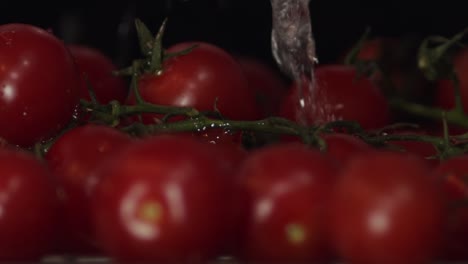 Tomates-Rojos-Orgánicos-Frescos-En-Primer-Plano-Comercial