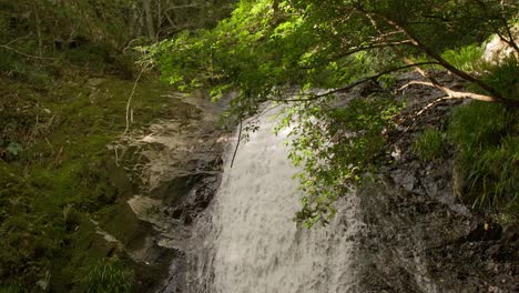 Beautiful-walterfalls-hidden-in-the-forest