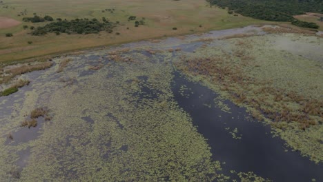 Aerial-Panning-Shot-Of-The-Marshlands-In-Mozambique
