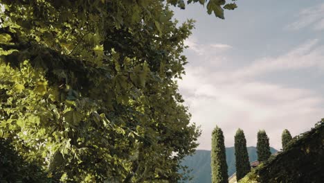Verträumtes-Spazieren-Unter-Bäumen-Und-Blättern-An-Einem-Mediterranen-Ort-Auf-Einem-Grünen-Pfad-Am-Seiteneingang-Der-Berühmten-Villa-Balbiano-Am-Comer-See-Italien-Nach-Oben-Schauend