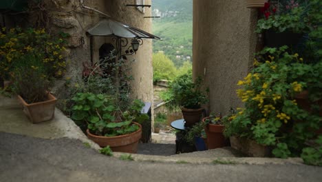 Narrow-street-with-flowers-in-old-village-in-France