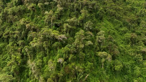 Aerial-drone-fly-view-over-the-mountains-and-rainforest-around-Machu-Picchu-Citadel