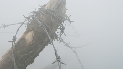 Broken-pole-with-coiled-barbed-wire-in-the-fog