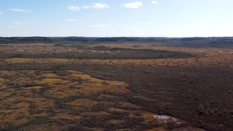 Large-swamp-during-the-daytime.-Ascending-drone-shot