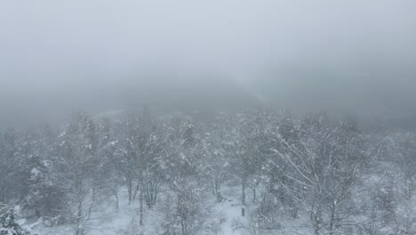 Drohne-Fliegt-Durch-Verschneite-Wälder-Mit-Nebel-In-Den-Pyrenäen-In-Frankreich
