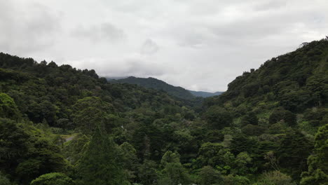 Vista-Aérea-De-La-Selva-Infinita-En-Las-Montañas-De-Boquete,-Panamá